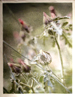 Gallery 20